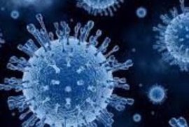 澳門衛(wèi)生局接獲已宗學校流感群集性感染報告