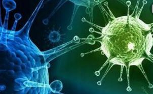 澳門一學(xué)校6名學(xué)童感染流感 部分患者已就醫(yī)無重癥