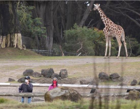 美國約每100人中有1人感染新冠