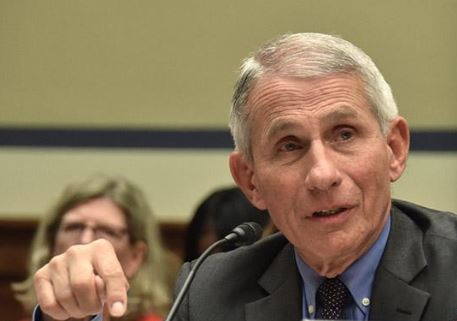 福奇承認不受白宮歡迎