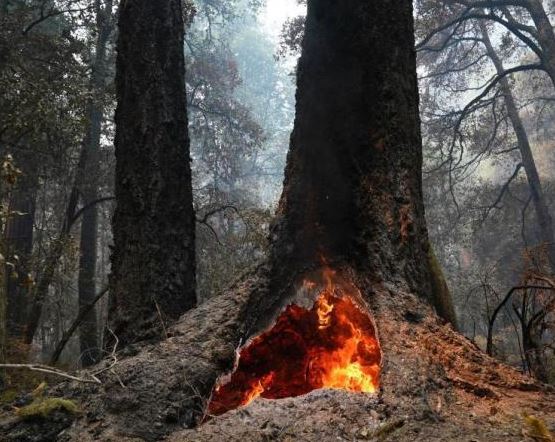 美加州大火致3000居民撤離