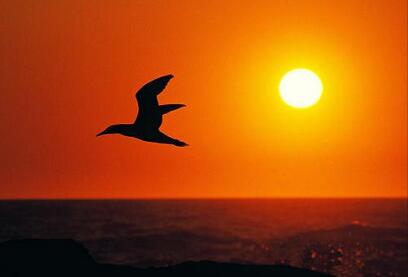 人最大的悲哀就是錯(cuò)把平臺(tái)當(dāng)本事