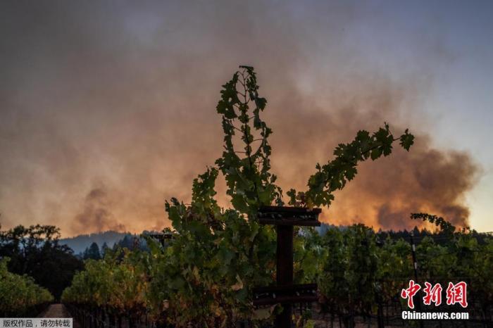 聯(lián)合國：本世紀(jì)以來氣候?yàn)?zāi)害數(shù)量的上升“令人震驚”