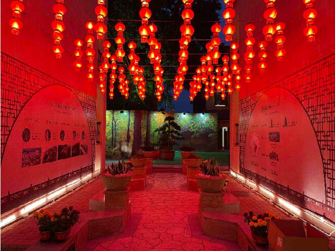 就地過(guò)年“村民”聯(lián)歡，看，云嘉新春活動(dòng)這樣搞