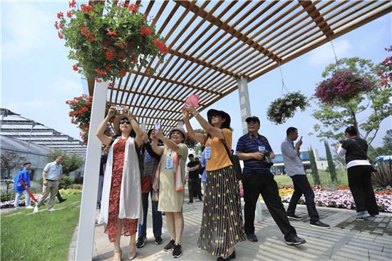 華文媒體四川行：走進(jìn)雪山下的大美郫都