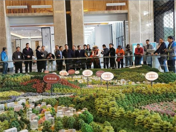 海外華媒走進(jìn)“養(yǎng)生朝天” 感受生態(tài)康養(yǎng)獨(dú)特魅力