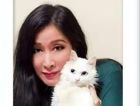 油畫家田迎人：從小愛畫連環(huán)畫