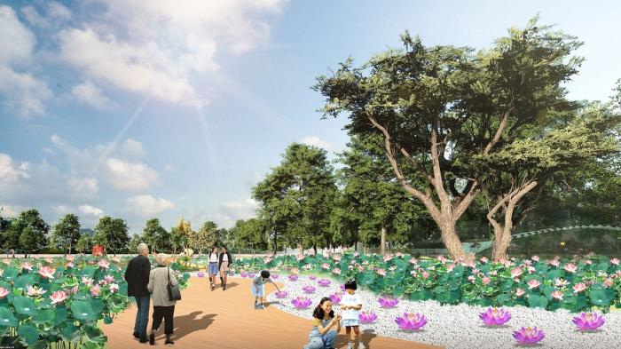 荷香樂(lè)滿城 第二十二屆澳門荷花節(jié)6月10日開(kāi)幕