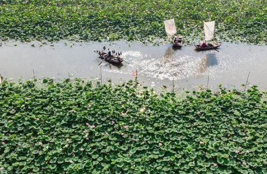 合肥等中國7個城市榮獲第二批國際濕地城市稱號