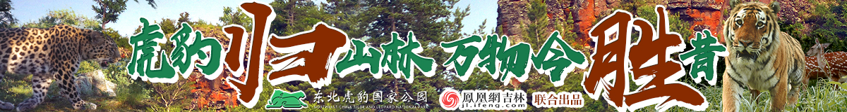 虎豹?dú)w山林 萬(wàn)物今勝昔