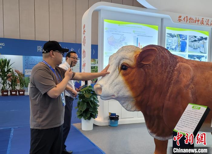 中國(guó)種業(yè)振興行動(dòng)取得新進(jìn)展新突破