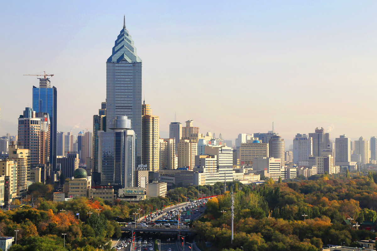 上海合作組織國(guó)家媒體代表團(tuán)走進(jìn)烏魯木齊