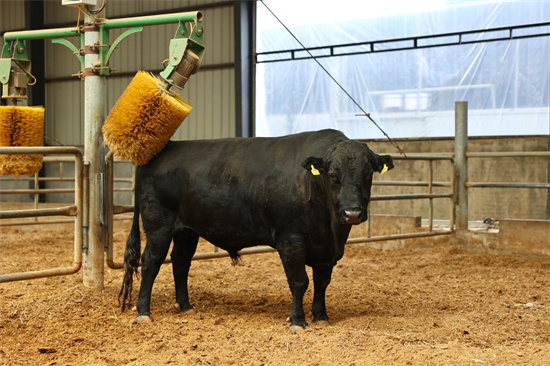 粵港澳大灣區(qū)資深媒體人走訪皓月