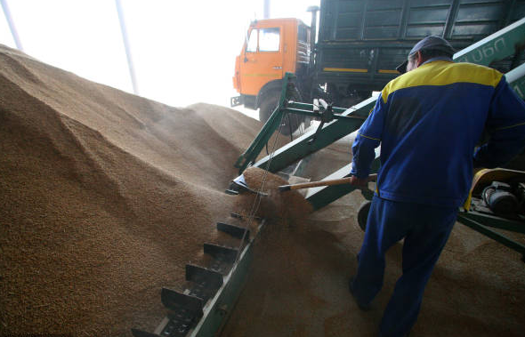 俄政府延長(zhǎng)大米出口禁令至明年6月底