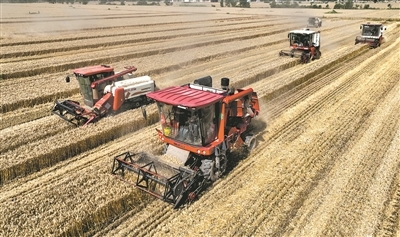 全國(guó)“三夏”小麥機(jī)收任務(wù)基本完成