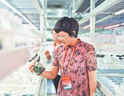 把紅色種子播撒到孩子心中