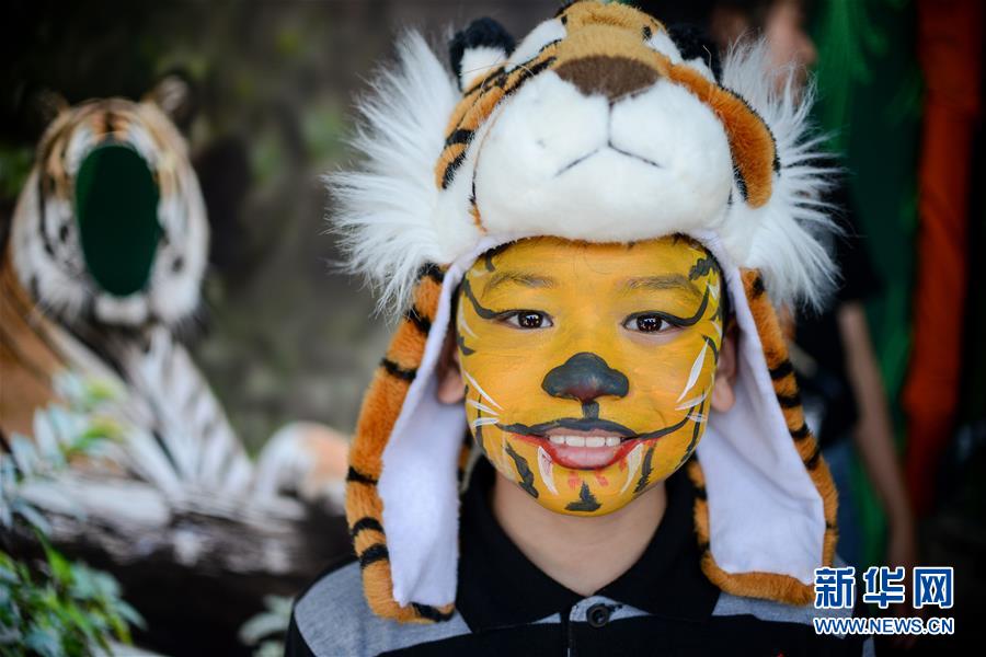 馬來西亞將加強打擊偷獵馬來虎行為