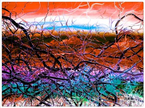 黃建南拒600萬高價再畫《奧運之花》