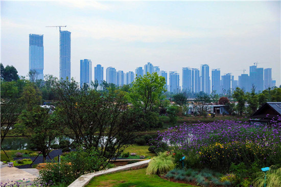 海外華文媒體走進四川天府新區(qū) 欣賞公園城市美麗畫卷