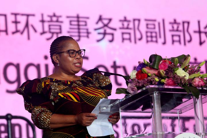 全非洲華人婦女聯(lián)合總會隆重舉辦第七屆理監(jiān)事會就職典禮