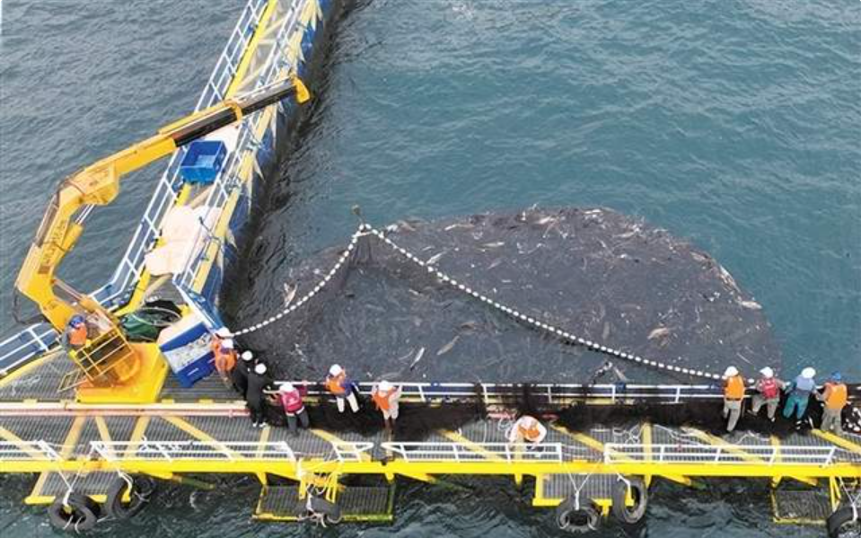 多方位多角度感受江門生態(tài)之美