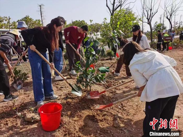 粵港澳青年共植“青年林”