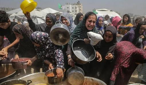 聯(lián)合國(guó)機(jī)構(gòu)：加沙數(shù)百萬(wàn)人面臨嚴(yán)重饑荒風(fēng)險(xiǎn)