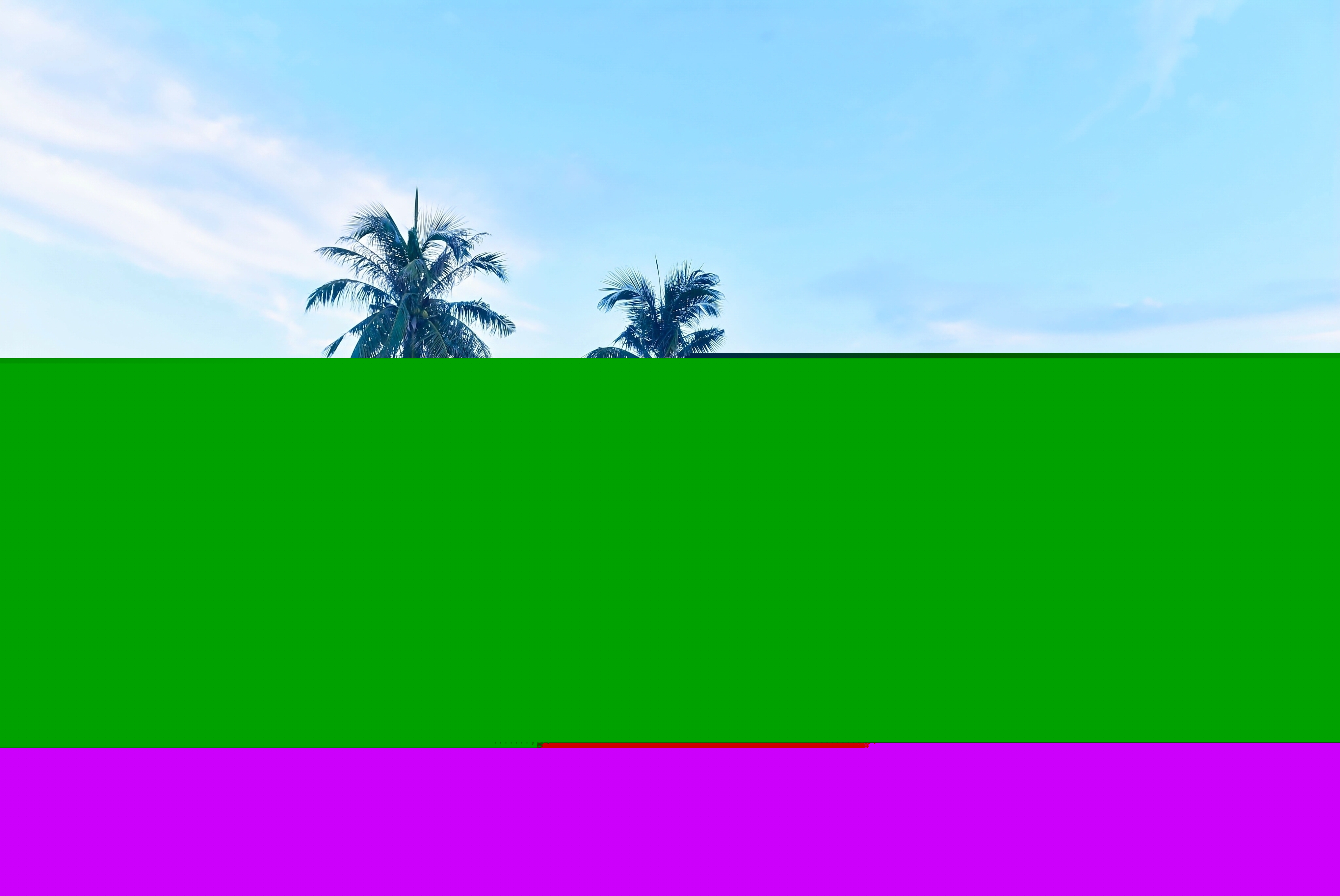 海外華文媒體走進(jìn)海南一睹發(fā)展與變遷——粵港澳頭條