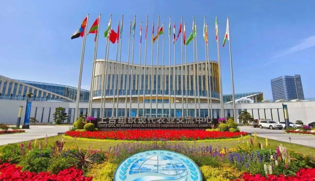 王毅介紹上合組織天津峰會八大成果